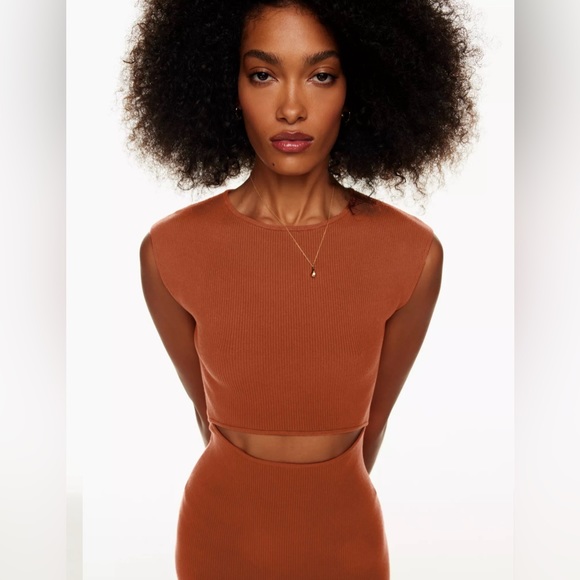 Wilfred Cut-Out Knit Mini Dress (copper red) - Picture 3 of 8